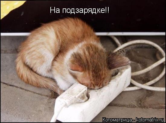 Котоматрица: На подзарядке!!