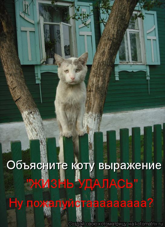 Котоматрица: Объясните коту выражение "ЖИЗНЬ УДАЛАСЬ" Ну пожалуйстааааааааа?