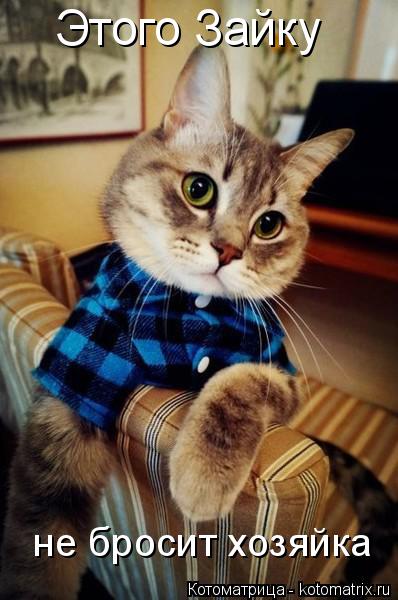 Котоматрица: Этого Зайку не бросит хозяйка