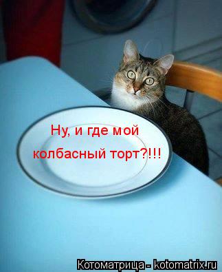 Котоматрица: Ну, и где мой  колбасный торт?!!!