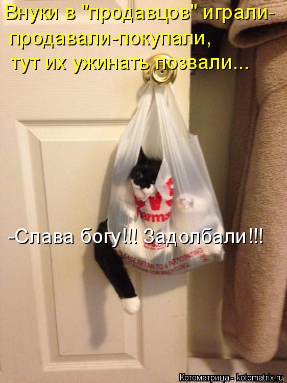 Котоматрица: Внуки в "продавцов" играли- продавали-покупали, тут их ужинать позвали... -Слава богу!!! Задолбали!!!