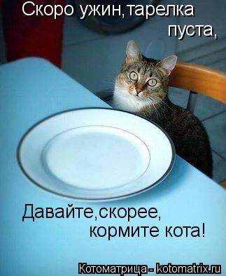 Котоматрица: Скоро ужин,тарелка  пуста, Давайте,скорее, кормите кота!