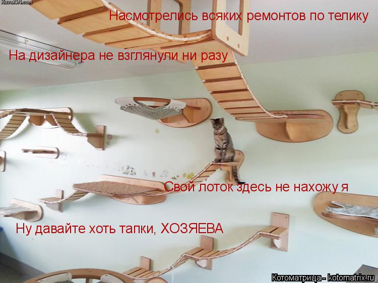 Котоматрица: Насмотрелись всяких ремонтов по телику На дизайнера не взглянули ни разу Свой лоток здесь не нахожу я Ну давайте хоть тапки, ХОЗЯЕВА