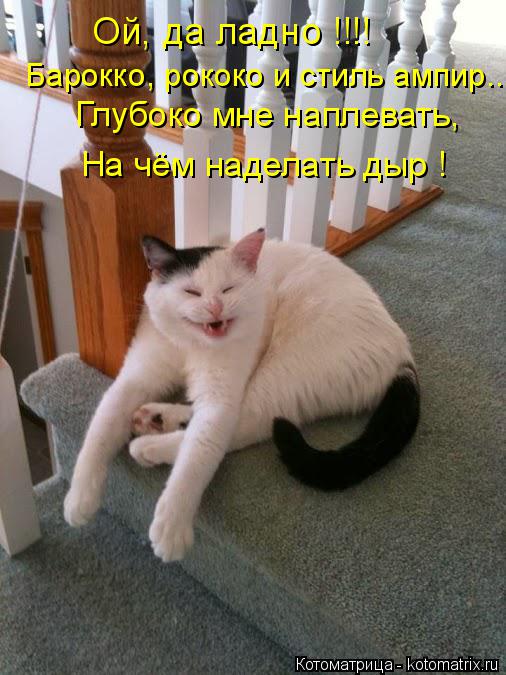 Котоматрица: Ой, да ладно !!!! Барокко, рококо и стиль ампир... Глубоко мне наплевать, На чём наделать дыр !