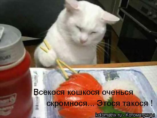 Всекося кошкося оченься скромнося... Этося такося !... Котоматрица: Всекося кошкося оченься скромнося... Этося такося !