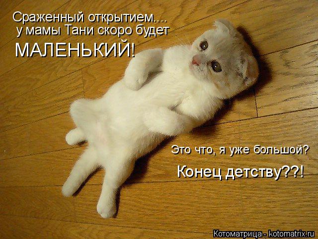 Котоматрица: Сраженный открытием.... у мамы Тани скоро будет МАЛЕНЬКИЙ! Это что, я уже большой? Конец детству??!