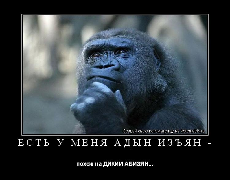 Котоматрица: ЕСТЬ У МЕНЯ АДЫН ИЗЪЯН -  похож на ДИКИЙ АБИЗЯН...