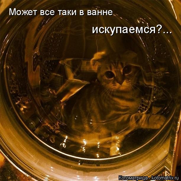 Котоматрица: Может все таки в ванне  искупаемся?...