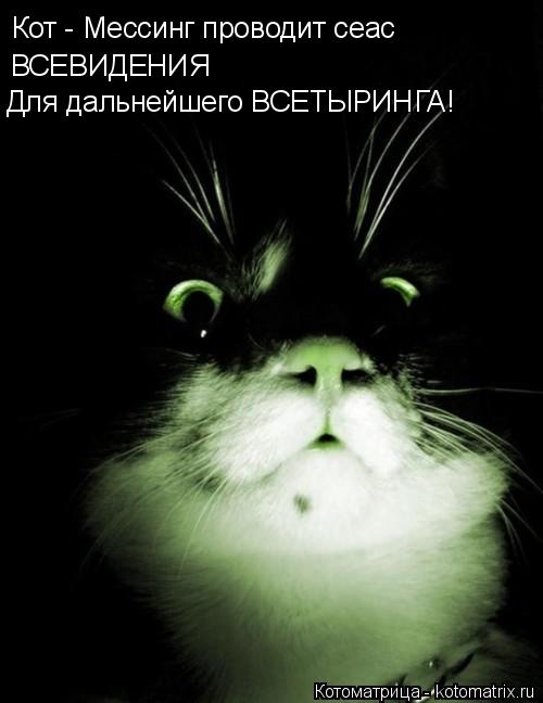 Котоматрица: Кот - Мессинг проводит сеас ВСЕВИДЕНИЯ Для дальнейшего ВСЕТЫРИНГА!