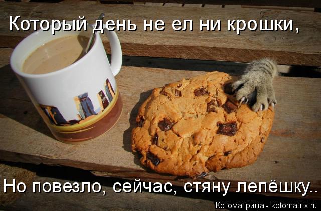 Котоматрица: Который день не ел ни крошки, Но повезло, сейчас, стяну лепёшку...