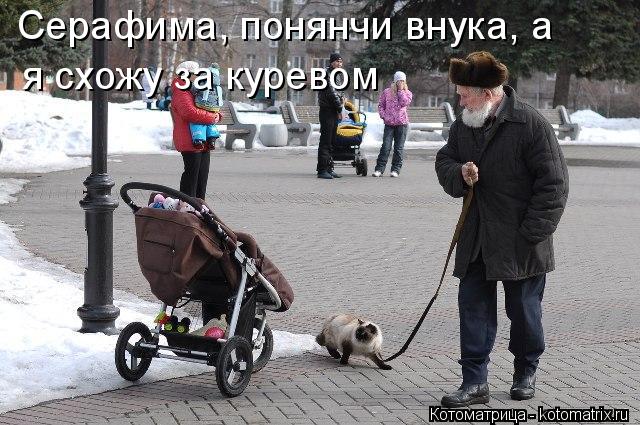 Котоматрица: Серафима, понянчи внука, а  я схожу за куревом