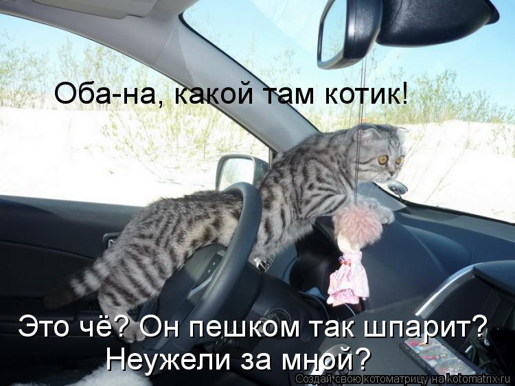 Котоматрица: Оба-на, какой там котик! Это чё? Он пешком так шпарит? Неужели за мной?