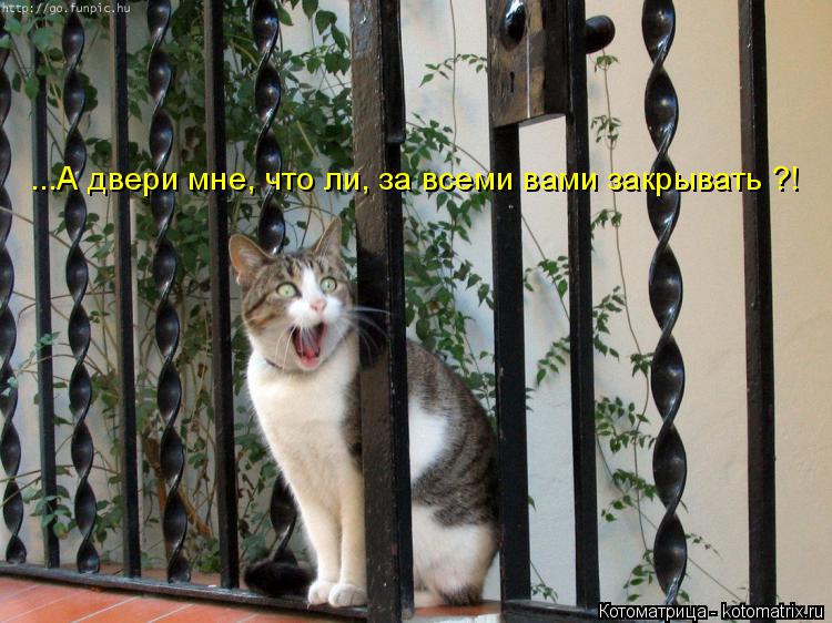 Котоматрица: ...А двери мне, что ли, за всеми вами закрывать ?!