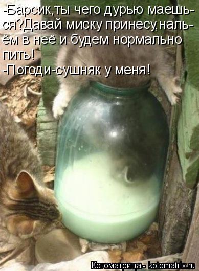 -Барсик,ты чего дурью маешь- ся?Давай миску принесу,наль- ём в неё и будем нормально пить! -Погоди-су... Котоматрица: -Барсик,ты чего дурью маешь- ся?Давай миску принесу,наль- ём в неё и будем нормально пить! -Погоди-сушняк у меня!