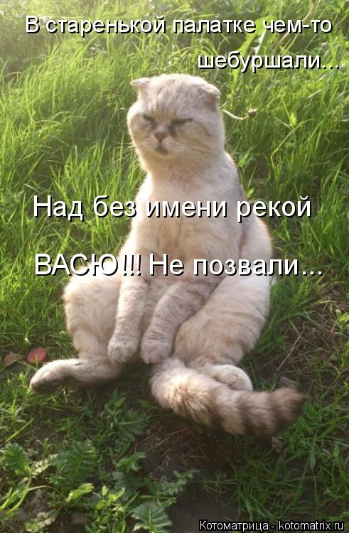 Котоматрица: В старенькой палатке чем-то  Над без имени рекой ВАСЮ!!! Не позвали... шебуршали...