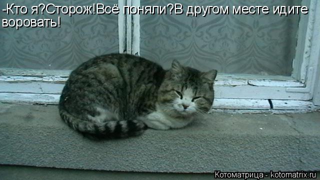 -Кто я?Сторож!Всё поняли?В другом месте идите воровать!... Котоматрица: -Кто я?Сторож!Всё поняли?В другом месте идите воровать!