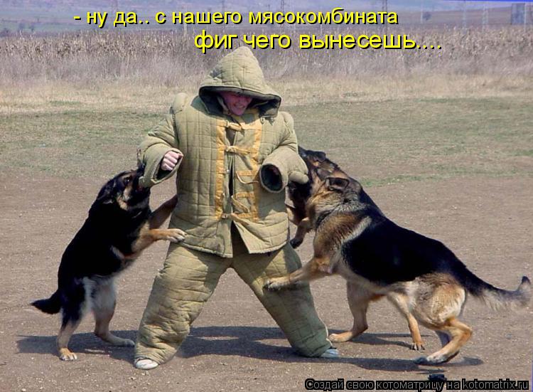 - ну да.. с нашего мясокомбината фиг чего вынесешь....... Котоматрица: - ну да.. с нашего мясокомбината фиг чего вынесешь....