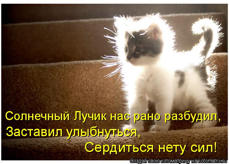 Котоматрица: Солнечный Лучик нас рано разбудил,  Заставил улыбнуться, Сердиться нету сил!