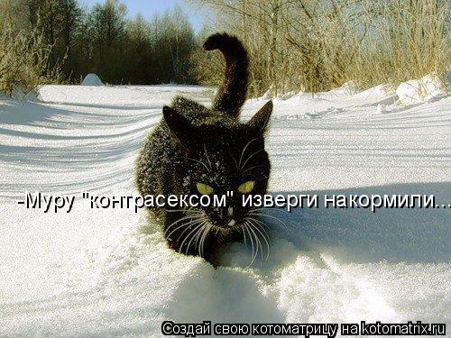Котоматрица: -Муру "контрасексом" изверги накормили......