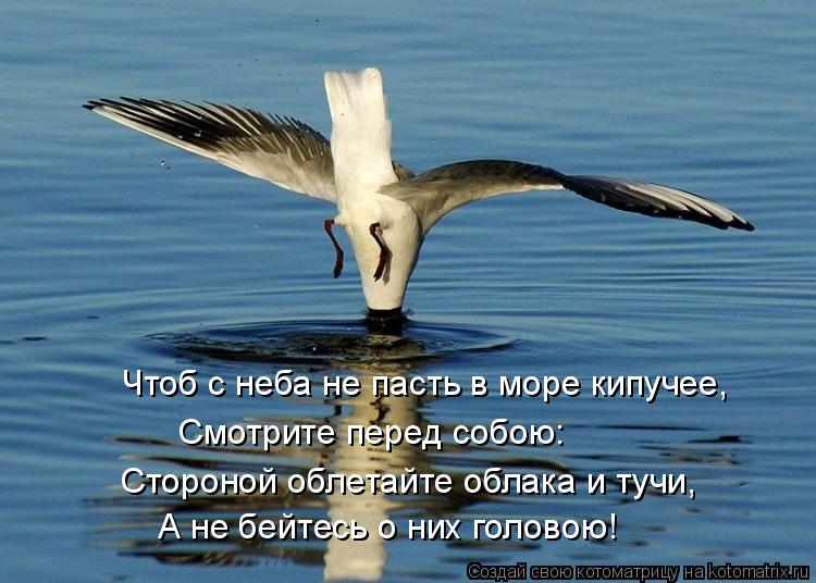 Котоматрица: Чтоб с неба не пасть в море кипучее, Стороной облетайте облака и тучи, А не бейтесь о них головою! Смотрите перед собою: