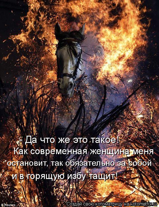 Котоматрица: Как современная женщина меня  остановит, так обязательно за собой и в горящую избу тащит! - Да что же это такое!