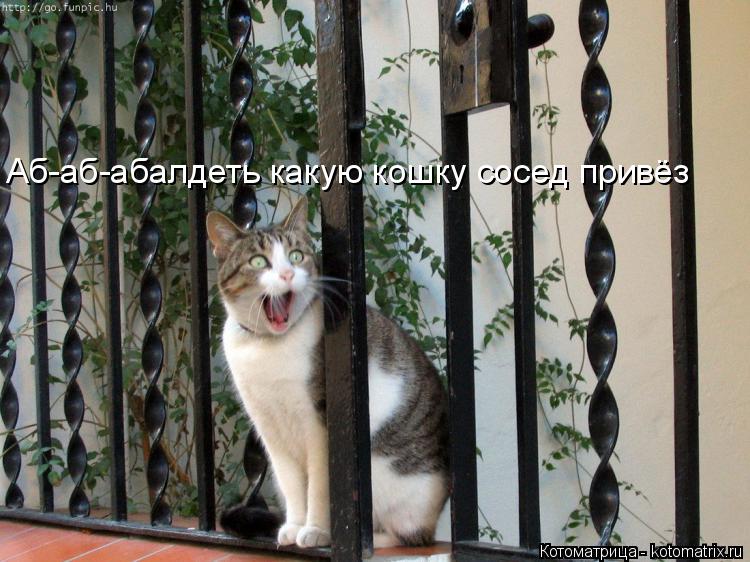 Котоматрица: Аб-аб-абалдеть какую кошку сосед привёз