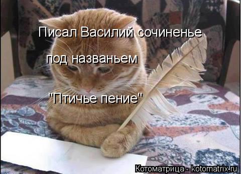 Котоматрица: Писал Василий сочиненье под названьем  "Птичье пение"