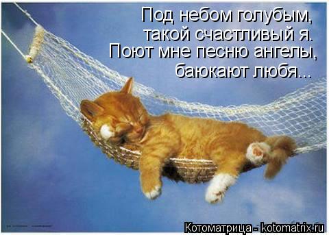Под небом голубым, такой счастливый я. Поют мне песню ангелы, баюкают любя...... Котоматрица: Под небом голубым, такой счастливый я. Поют мне песню ангелы, баюкают любя...
