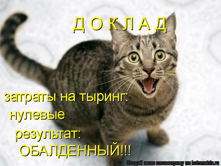 Котоматрица: Д О К Л А Д затраты на тыринг: нулевые результат: ОБАЛДЕННЫЙ!!!