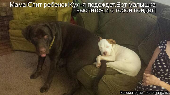 Мама!Спит ребенок!Кухня подождет.Вот малышка выспится,и с тобой пойдет!... Котоматрица: Мама!Спит ребенок!Кухня подождет.Вот малышка выспится,и с тобой пойдет!