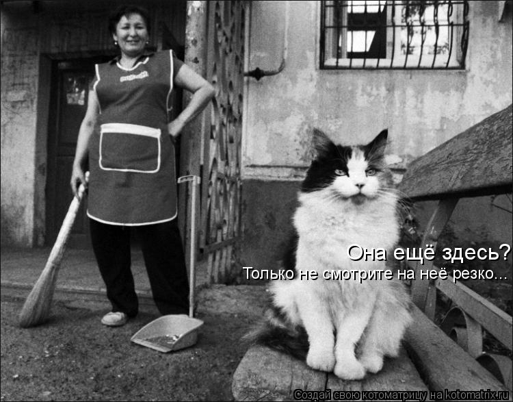 Она ещё здесь? Только не смотрите на неё резко...... Котоматрица: Она ещё здесь? Только не смотрите на неё резко...