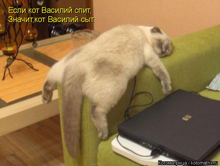 Если кот Василий спит, Значит,кот Василий сыт.... Котоматрица: Если кот Василий спит, Значит,кот Василий сыт.