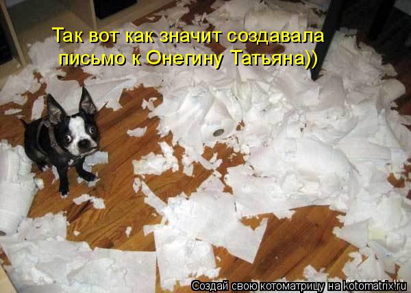Так вот как значит создавала письмо к Онегину Татьяна))... Котоматрица: Так вот как значит создавала письмо к Онегину Татьяна))