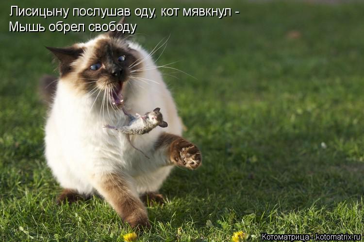 Котоматрица: Лисицыну послушав оду, кот мявкнул - Мышь обрел свободу