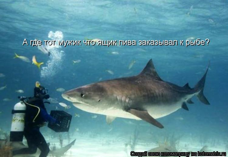 А где тот мужик что ящик пива заказывал к рыбе?... Котоматрица: А где тот мужик что ящик пива заказывал к рыбе?