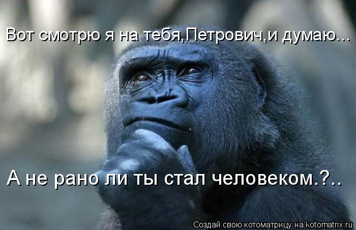 Вот смотрю я на тебя,Петрович,и думаю... А не рано ли ты стал человеком.?..... Котоматрица: Вот смотрю я на тебя,Петрович,и думаю... А не рано ли ты стал человеком.?..