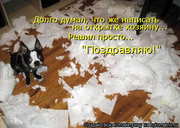 "Поздравляю!" Долго думал, что же написать на открытке хозяину... Решил просто...... Котоматрица: "Поздравляю!" Долго думал, что же написать на открытке хозяину... Решил просто...