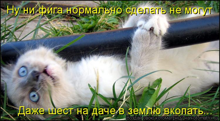 Котоматрица: Ну ни фига нормально сделать не могут Даже шест на даче в землю вкопать...