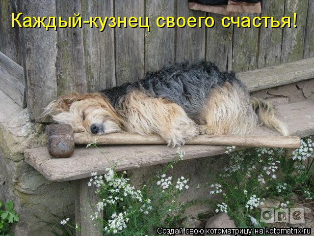 Котоматрица: Каждый-кузнец своего счастья!