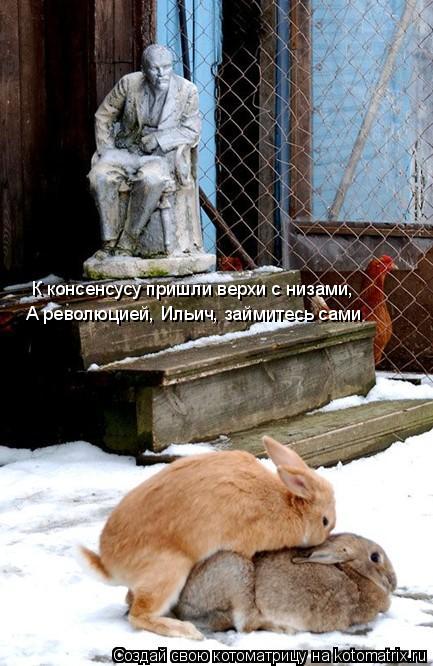 Котоматрица: К консенсусу пришли верхи с низами, А революцией, Ильич, займитесь сами