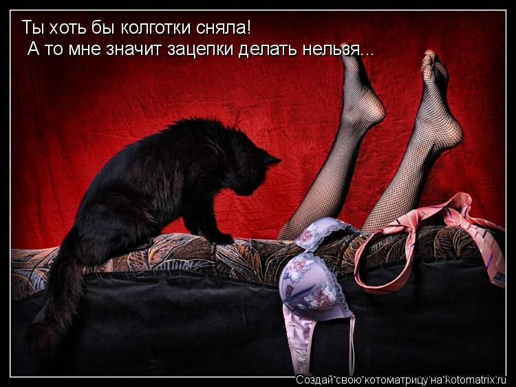 Ты хоть бы колготки сняла! А то мне значит зацепки делать нельзя...... Котоматрица: Ты хоть бы колготки сняла! А то мне значит зацепки делать нельзя...