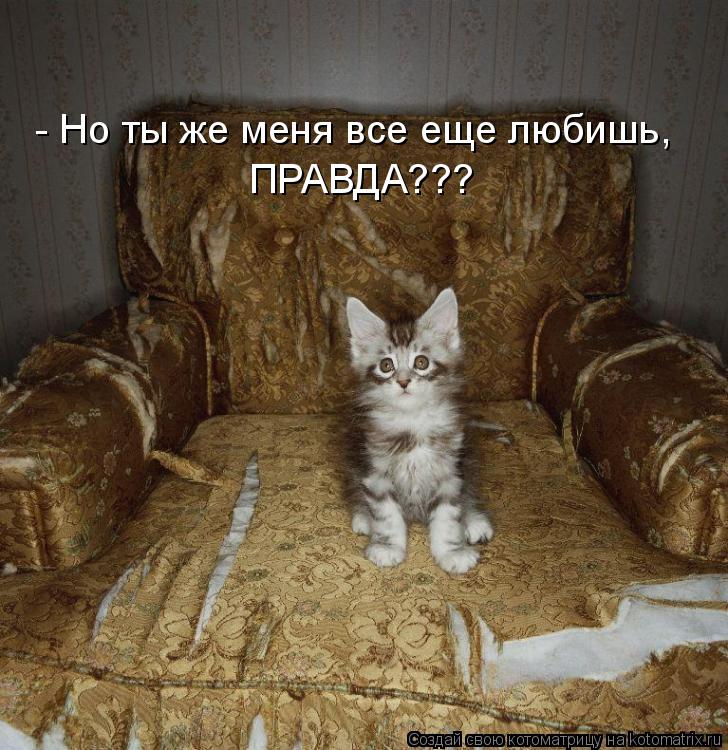 - Но ты же меня все еще любишь, ПРАВДА???... Котоматрица: - Но ты же меня все еще любишь, ПРАВДА???