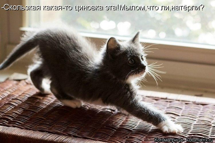 Котоматрица: -Скользкая какая-то циновка эта!Мылом,что ли,натёрли?