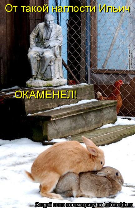 Котоматрица: От такой наглости Ильич ОКАМЕНЕЛ!