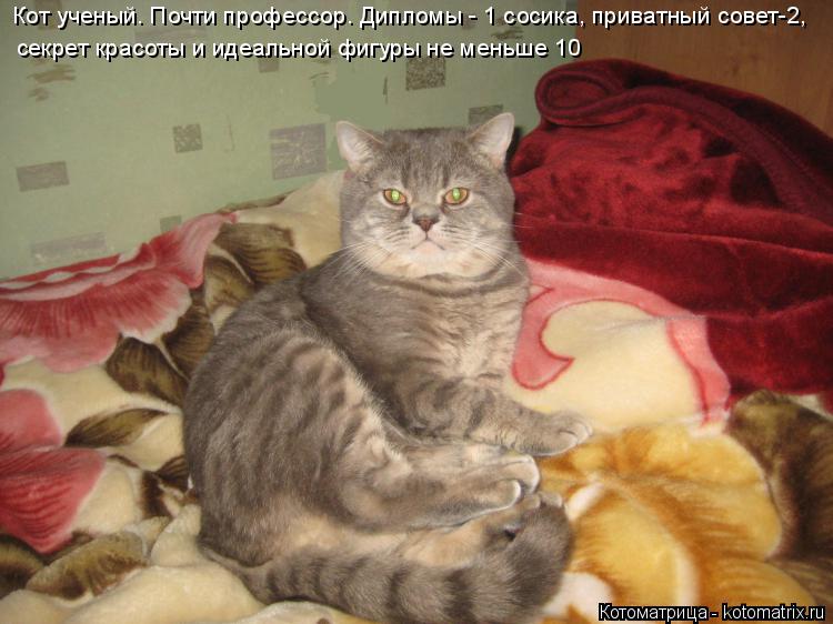 Кот ученый. Почти профессор. Дипломы - 1 сосика, приватный совет-2, секрет красоты и идеальной фигуры... Котоматрица: Кот ученый. Почти профессор. Дипломы - 1 сосика, приватный совет-2, секрет красоты и идеальной фигуры не меньше 10