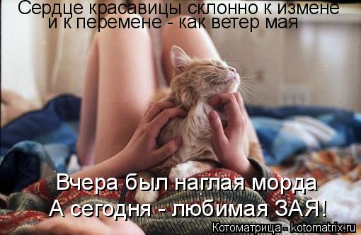 Котоматрица: Сердце красавицы склонно к измене и к перемене - как ветер мая Вчера был наглая морда А сегодня - любимая ЗАЯ!