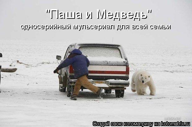 Котоматрица: "Паша и Медведь" односерийный мульсериал для всей семьи