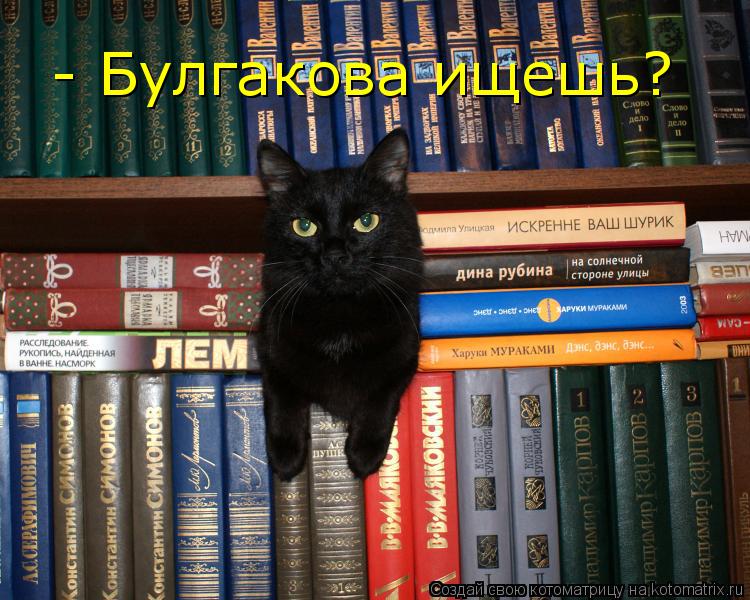 - Булгакова ищешь?... Котоматрица: - Булгакова ищешь?