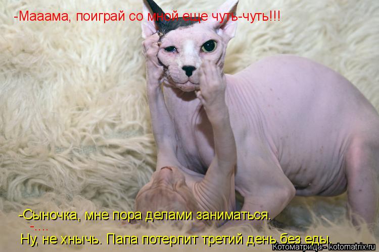 Котоматрица: -Мааама, поиграй со мной еще чуть-чуть!!! Ну, не хнычь. Папа потерпит третий день без еды.  -Сыночка, мне пора делами заниматься.   -....