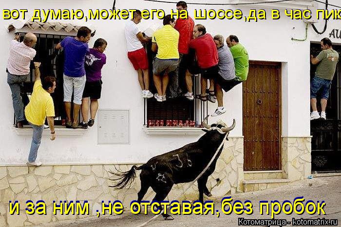 Котоматрица: вот думаю,может его на шоссе,да в час пик вот думаю,может его на шоссе,да в час пик и за ним ,не отставая,без пробок и за ним ,не отставая,без пр